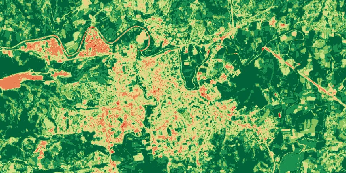 Detail of the June 2024 NDVI map of Bartın.